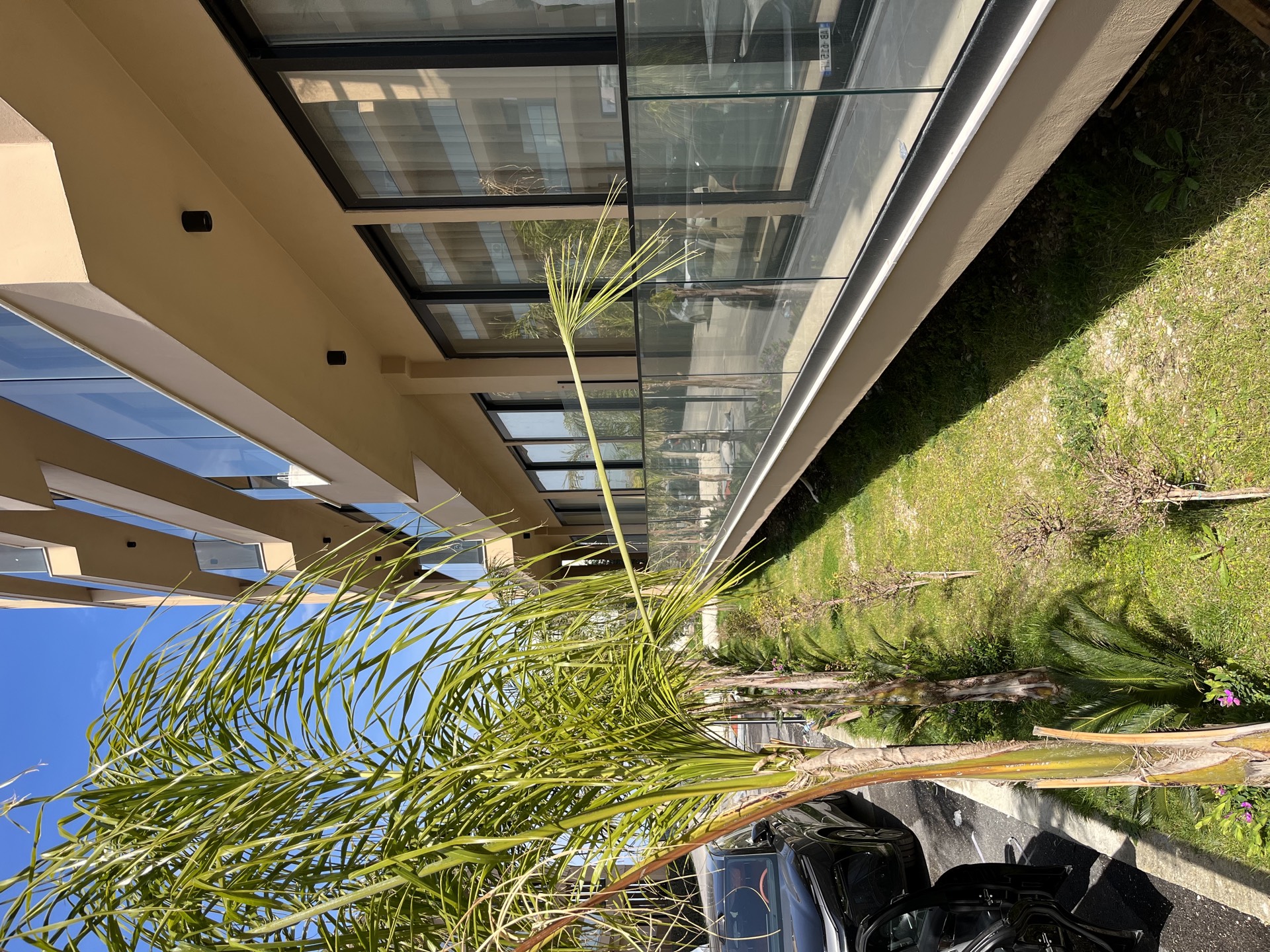Gallery 02
